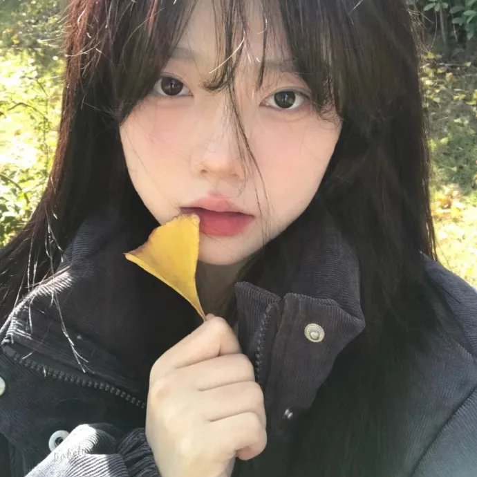 闪耀的恒星
